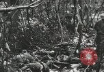 Image of 1st Marine Division Peleliu Palau Islands, 1944, second 48 stock footage video 65675022847