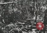 Image of 1st Marine Division Peleliu Palau Islands, 1944, second 49 stock footage video 65675022847