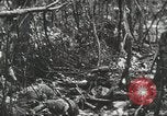Image of 1st Marine Division Peleliu Palau Islands, 1944, second 50 stock footage video 65675022847