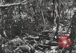 Image of 1st Marine Division Peleliu Palau Islands, 1944, second 51 stock footage video 65675022847