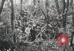 Image of 1st Marine Division Peleliu Palau Islands, 1944, second 52 stock footage video 65675022847
