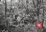 Image of 1st Marine Division Peleliu Palau Islands, 1944, second 54 stock footage video 65675022847