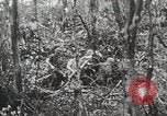 Image of 1st Marine Division Peleliu Palau Islands, 1944, second 55 stock footage video 65675022847