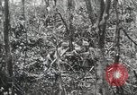 Image of 1st Marine Division Peleliu Palau Islands, 1944, second 56 stock footage video 65675022847