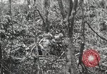 Image of 1st Marine Division Peleliu Palau Islands, 1944, second 57 stock footage video 65675022847