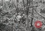 Image of 1st Marine Division Peleliu Palau Islands, 1944, second 58 stock footage video 65675022847