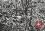 Image of 1st Marine Division Peleliu Palau Islands, 1944, second 59 stock footage video 65675022847