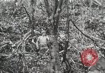 Image of 1st Marine Division Peleliu Palau Islands, 1944, second 60 stock footage video 65675022847