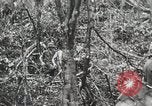 Image of 1st Marine Division Peleliu Palau Islands, 1944, second 61 stock footage video 65675022847