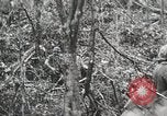 Image of 1st Marine Division Peleliu Palau Islands, 1944, second 62 stock footage video 65675022847