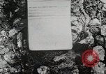 Image of 1st Marine Division Peleliu Palau Islands, 1944, second 8 stock footage video 65675022848