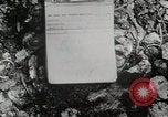Image of 1st Marine Division Peleliu Palau Islands, 1944, second 9 stock footage video 65675022848