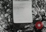 Image of 1st Marine Division Peleliu Palau Islands, 1944, second 10 stock footage video 65675022848