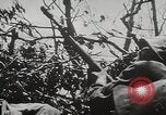 Image of 1st Marine Division Peleliu Palau Islands, 1944, second 17 stock footage video 65675022848