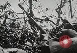 Image of 1st Marine Division Peleliu Palau Islands, 1944, second 18 stock footage video 65675022848