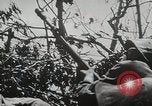 Image of 1st Marine Division Peleliu Palau Islands, 1944, second 19 stock footage video 65675022848