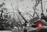 Image of 1st Marine Division Peleliu Palau Islands, 1944, second 20 stock footage video 65675022848