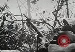 Image of 1st Marine Division Peleliu Palau Islands, 1944, second 21 stock footage video 65675022848