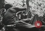 Image of 1st Marine Division Peleliu Palau Islands, 1944, second 22 stock footage video 65675022848