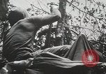 Image of 1st Marine Division Peleliu Palau Islands, 1944, second 23 stock footage video 65675022848