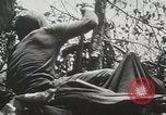 Image of 1st Marine Division Peleliu Palau Islands, 1944, second 24 stock footage video 65675022848