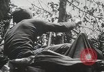Image of 1st Marine Division Peleliu Palau Islands, 1944, second 25 stock footage video 65675022848