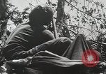 Image of 1st Marine Division Peleliu Palau Islands, 1944, second 28 stock footage video 65675022848