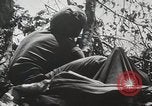Image of 1st Marine Division Peleliu Palau Islands, 1944, second 29 stock footage video 65675022848