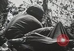 Image of 1st Marine Division Peleliu Palau Islands, 1944, second 30 stock footage video 65675022848