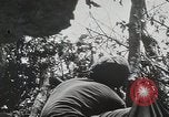 Image of 1st Marine Division Peleliu Palau Islands, 1944, second 31 stock footage video 65675022848