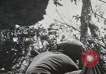 Image of 1st Marine Division Peleliu Palau Islands, 1944, second 32 stock footage video 65675022848