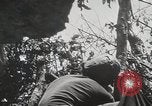 Image of 1st Marine Division Peleliu Palau Islands, 1944, second 33 stock footage video 65675022848