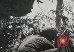 Image of 1st Marine Division Peleliu Palau Islands, 1944, second 34 stock footage video 65675022848
