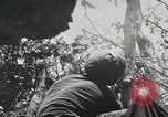 Image of 1st Marine Division Peleliu Palau Islands, 1944, second 36 stock footage video 65675022848