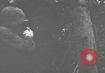 Image of 1st Marine Division Peleliu Palau Islands, 1944, second 37 stock footage video 65675022848