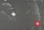 Image of 1st Marine Division Peleliu Palau Islands, 1944, second 38 stock footage video 65675022848