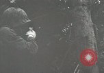 Image of 1st Marine Division Peleliu Palau Islands, 1944, second 39 stock footage video 65675022848