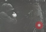 Image of 1st Marine Division Peleliu Palau Islands, 1944, second 40 stock footage video 65675022848