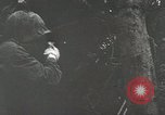 Image of 1st Marine Division Peleliu Palau Islands, 1944, second 43 stock footage video 65675022848