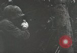 Image of 1st Marine Division Peleliu Palau Islands, 1944, second 44 stock footage video 65675022848