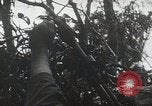 Image of 1st Marine Division Peleliu Palau Islands, 1944, second 52 stock footage video 65675022848