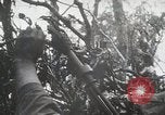 Image of 1st Marine Division Peleliu Palau Islands, 1944, second 54 stock footage video 65675022848