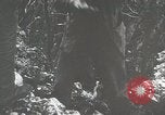 Image of 1st Marine Division Peleliu Palau Islands, 1944, second 56 stock footage video 65675022848