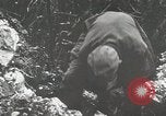 Image of 1st Marine Division Peleliu Palau Islands, 1944, second 57 stock footage video 65675022848