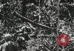 Standbild 1st Marine Division Peleliu Palau Inseln, 1944, aus Sekunde 41 historischem Filmmaterial Videoclip 65675022849