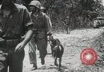 Standbild 1st Marine Division Peleliu Palau Inseln, 1944, aus Sekunde 42 historischem Filmmaterial Videoclip 65675022849