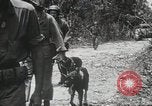 Standbild 1st Marine Division Peleliu Palau Inseln, 1944, aus Sekunde 43 historischem Filmmaterial Videoclip 65675022849