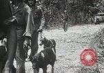 Standbild 1st Marine Division Peleliu Palau Inseln, 1944, aus Sekunde 44 historischem Filmmaterial Videoclip 65675022849