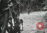 Standbild 1st Marine Division Peleliu Palau Inseln, 1944, aus Sekunde 45 historischem Filmmaterial Videoclip 65675022849