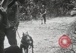 Standbild 1st Marine Division Peleliu Palau Inseln, 1944, aus Sekunde 47 historischem Filmmaterial Videoclip 65675022849